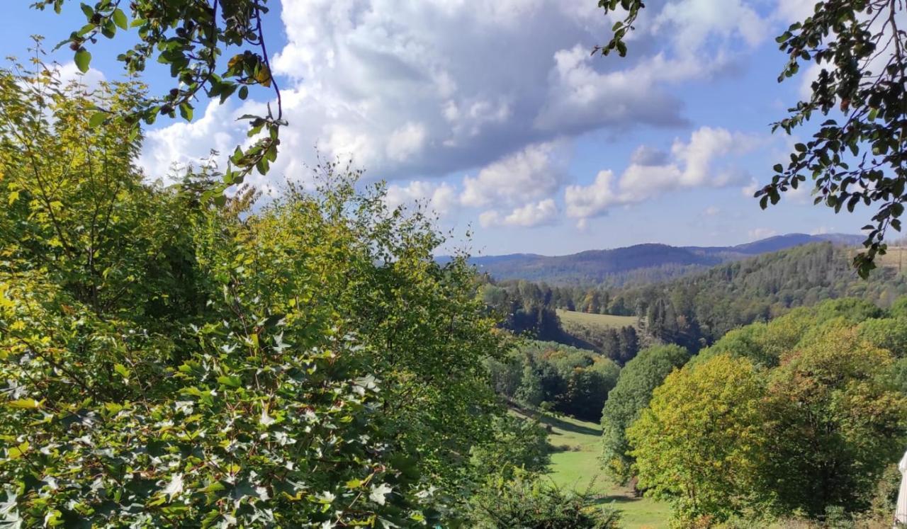 Fewo Harzer Weitblick, Hunde Willkommen, W-Lan, 2X Smart Tv, Dtv 4 Sterne, 4 Pfoten Braunlage Exterior photo