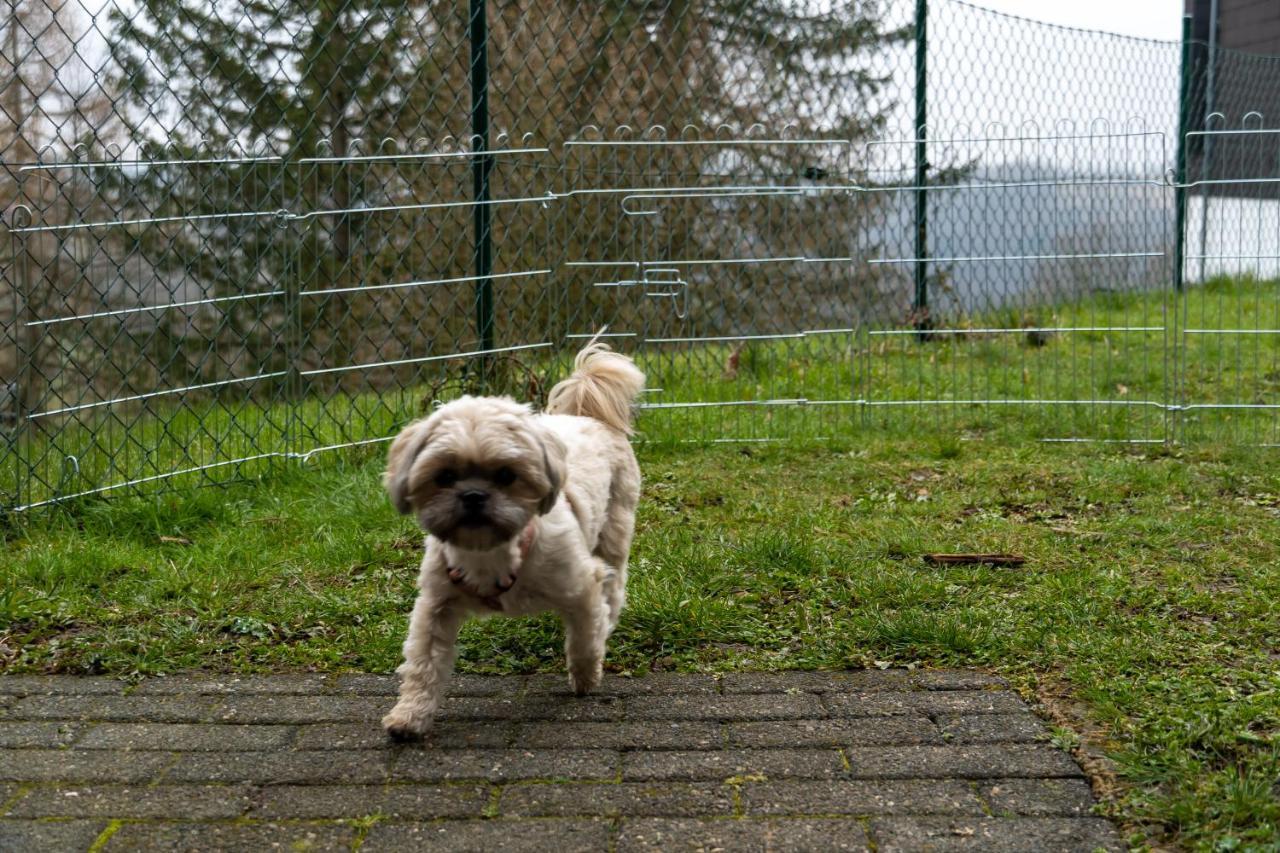 Fewo Harzer Weitblick, Hunde Willkommen, W-Lan, 2X Smart Tv, Dtv 4 Sterne, 4 Pfoten Braunlage Exterior photo