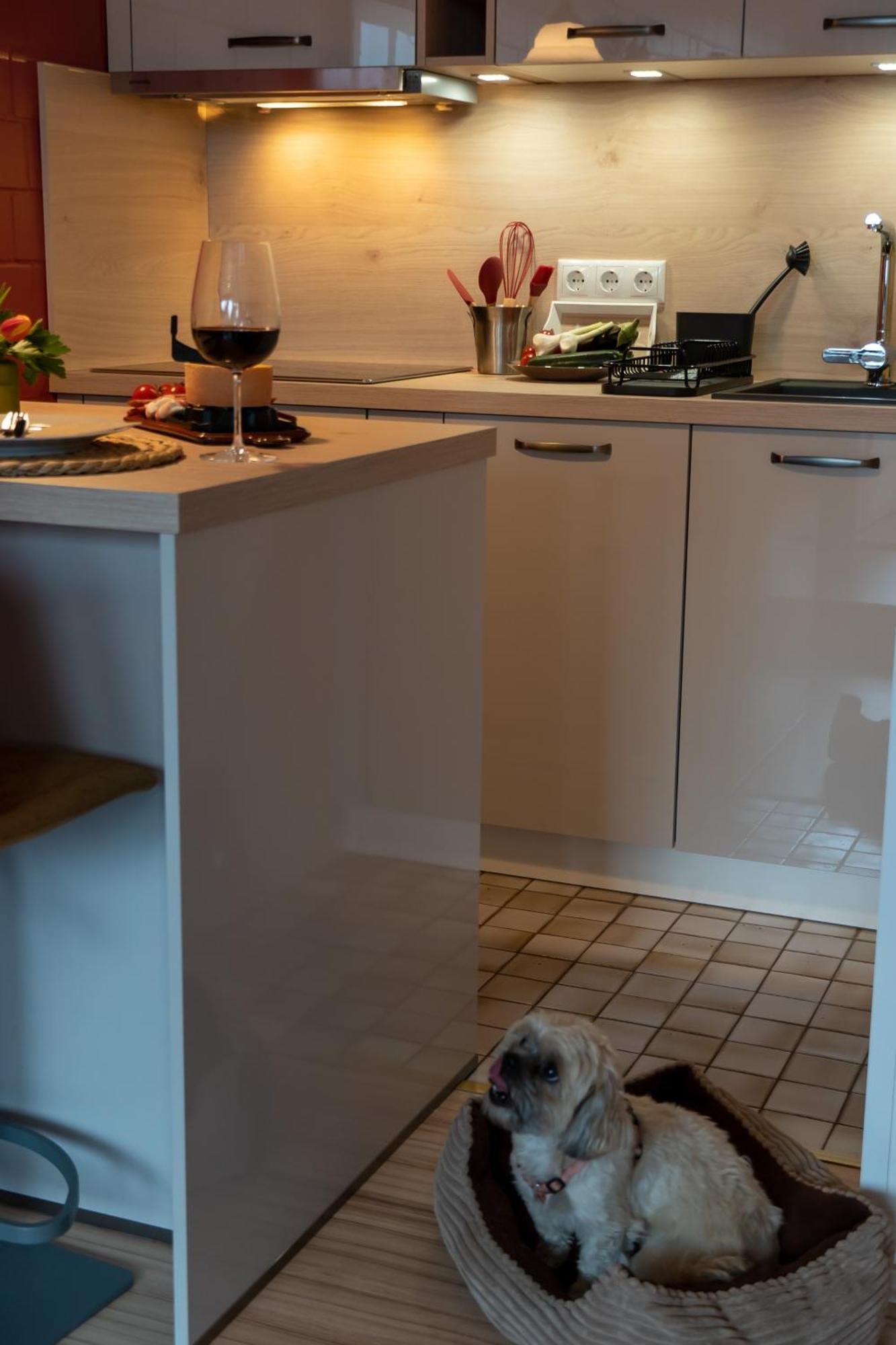 Fewo Harzer Weitblick, Hunde Willkommen, W-Lan, 2X Smart Tv, Dtv 4 Sterne, 4 Pfoten Braunlage Exterior photo
